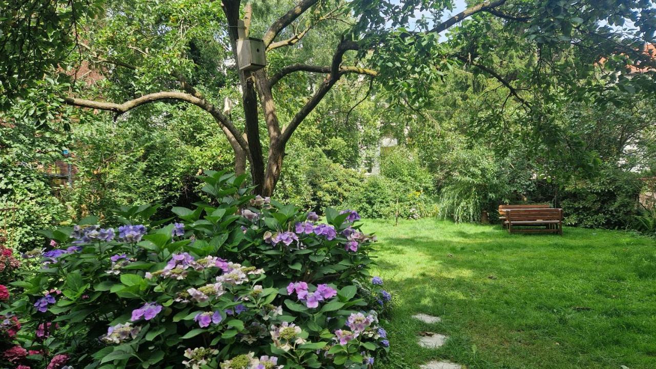 Pension Siewert Dessau-Rosslau Екстериор снимка